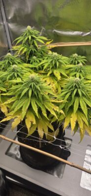 49c1603f-4940-4dc2-a02e-4b26d1d5dcb8