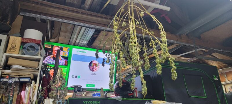 fa165ea7-51e9-4a9f-8ab1-6ec2e8c817ff