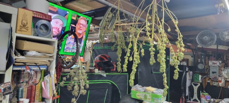 77870598-0362-4449-baa9-da91445ffc1b