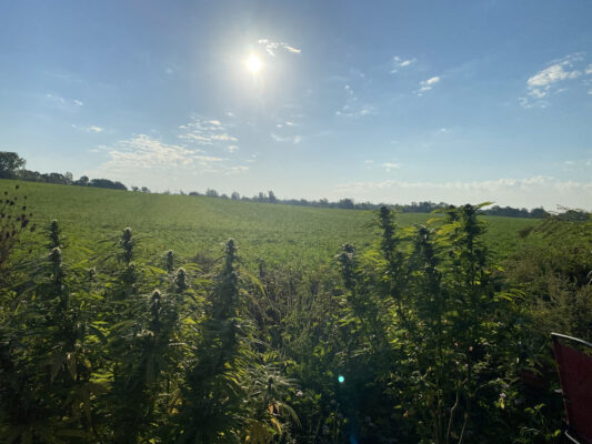 3F97562F-646B-4F94-B3FA-9B522DE8298C