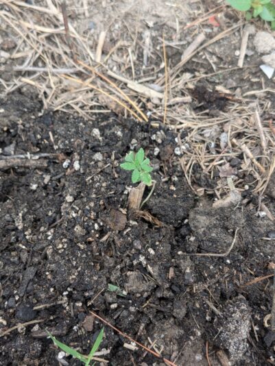 2e19f526-a6a3-4c5d-be32-9e20a0b3bf43