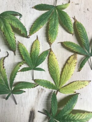 ED058E8E-EAA5-4DE8-9EC5-1D6524E41608