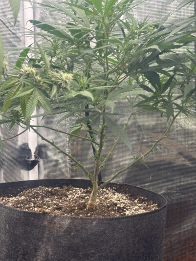 D5FBE0A3-5641-4BCC-8EFA-A20E51871DC9