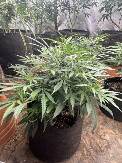 E04D5281-A6F1-4E7F-A61A-194D99782438