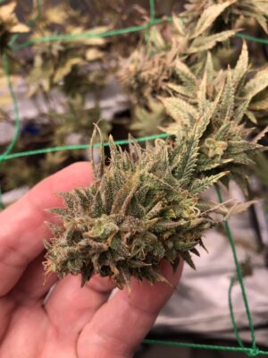 7C659387-5D4A-4FD6-A466-2FEF7FF66CA0