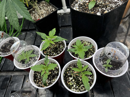 21E5CA75-28AA-452E-B12E-62ABF1287290