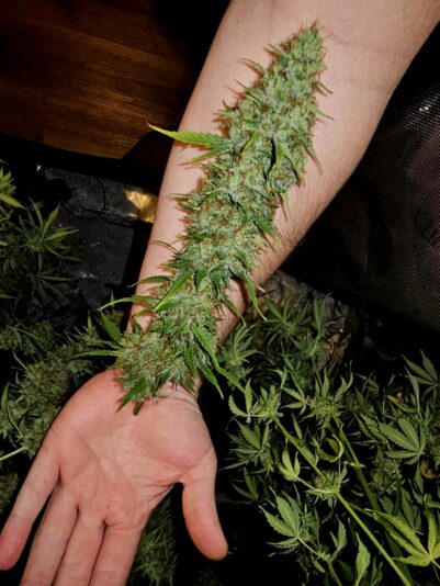 73d2cb0d-5ce3-4cf1-8638-3dbe599e3ef4