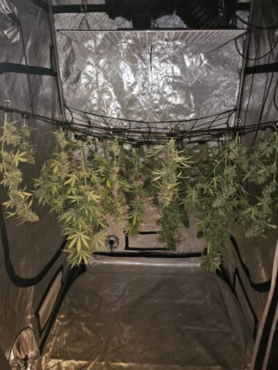 7ee047e8-1934-49f3-bd69-09b0f62072b1