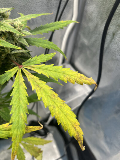 B37676DB-EC39-4AF5-8986-2050997A7AAF