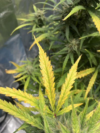 2308E664-1B37-4ACD-8CD3-9F97E469E3AF