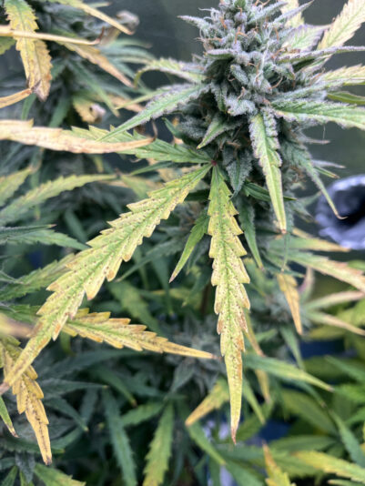 B4E11AB7-46AB-4659-B73F-18BB87B84945