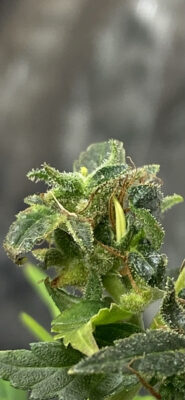 725570BC-FB1B-49EC-BDA2-F9502CDC115E