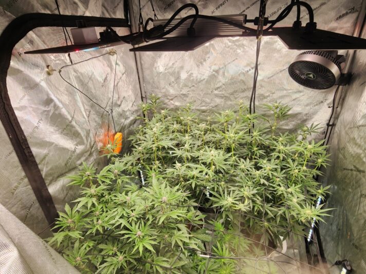 32587987-06d4-4738-8857-24e39d5e8b7f