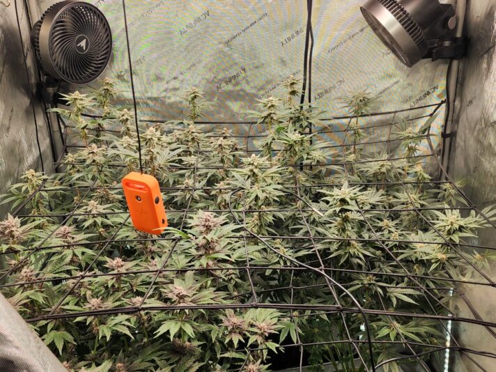 7160ffa6-d6c8-4562-9370-bba43e407345