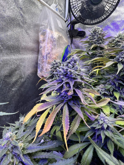 BA53F913-349E-475D-B077-78D5A0063931