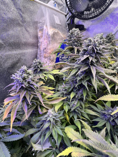 3CF1F6AB-73DC-4D8F-B784-F38CCAE01BE7