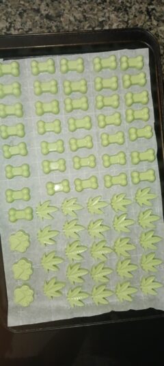 491f2d00-1c87-4a2c-b451-d486c53f5fdb