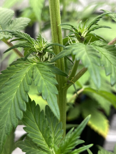 9C42A774-A99C-4364-BA0E-4155DCCA79BC