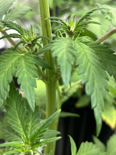 8320D6C2-CE1C-4BEC-B63B-606A70F9ABE3