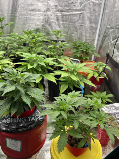 41C3239C-A28D-4CB6-A4A7-F5E999E63145