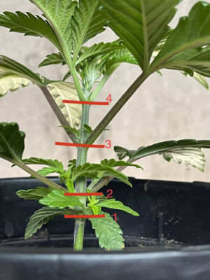 254CE25D-AA9D-4ED6-9512-9BFF86848800