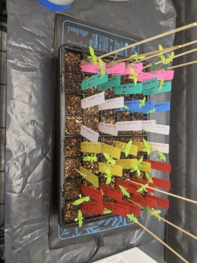 PXL_20241215_203304643