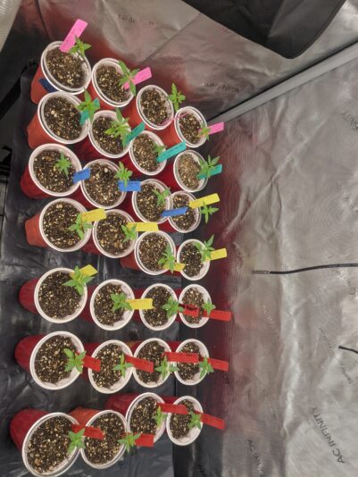 PXL_20241222_204617757