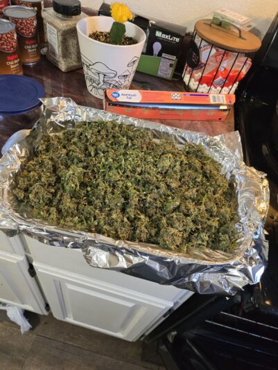 a845eb7f-2685-4dcd-bcf1-484358b19d7b