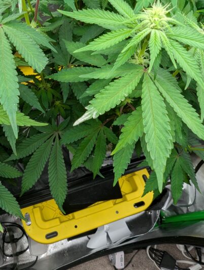 PXL_20250101_160940565