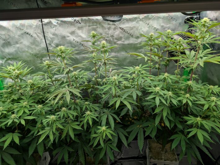 PXL_20250101_161155327