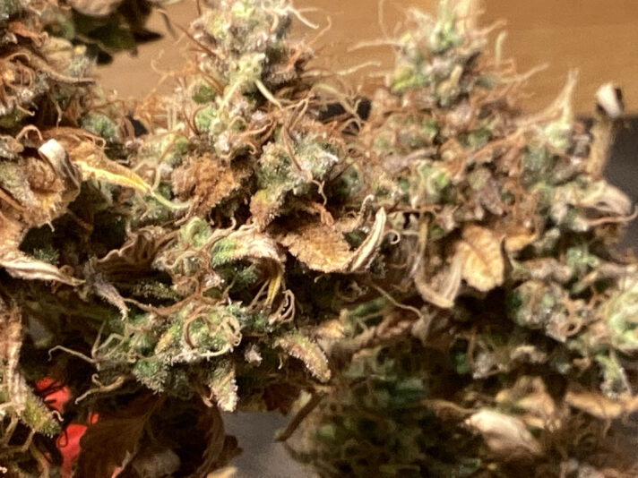 FC3F86CA-1E46-4E03-9E7C-358C326B477B