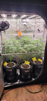 573dae1e-a4c2-4780-9da2-434af1592ee7