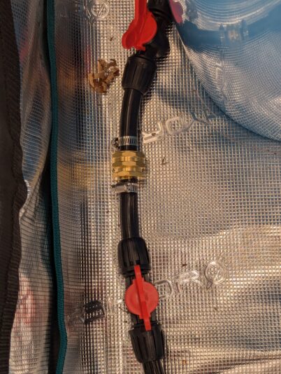 PXL_20241230_134324253