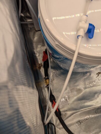 PXL_20241230_134303698