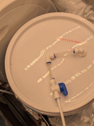 PXL_20241230_134409840