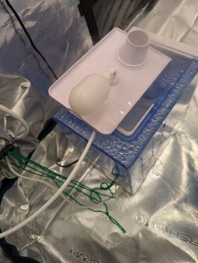 PXL_20250103_164331619