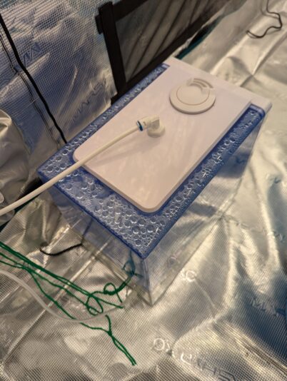 PXL_20250103_164314769