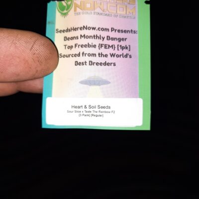 448bd327-35cc-4f4b-bacd-0ef954a2118d