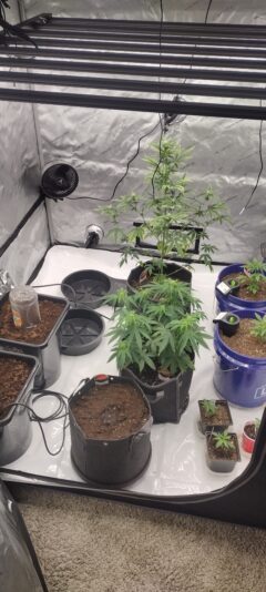 IMG_20241228_005110791_HDR