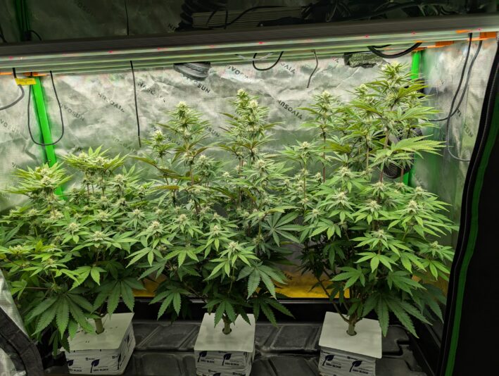 PXL_20250107_000503215