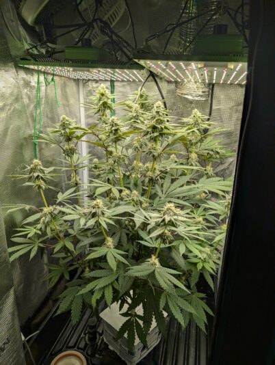 PXL_20250107_000401808.MP