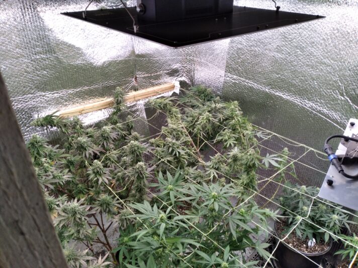 4c0cc183-94b1-445f-b9ba-161107c79c38