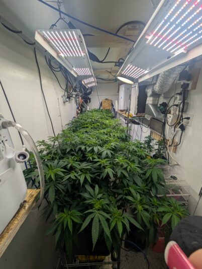 428af403-d912-49c4-a63e-d047f159057c