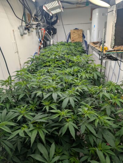 d06fd4b0-055a-458e-93ab-8700e58b4a90