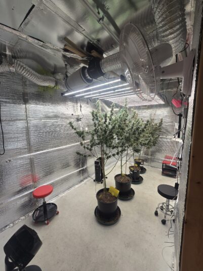 7f269074-196d-47f5-a040-7ccc882a0007