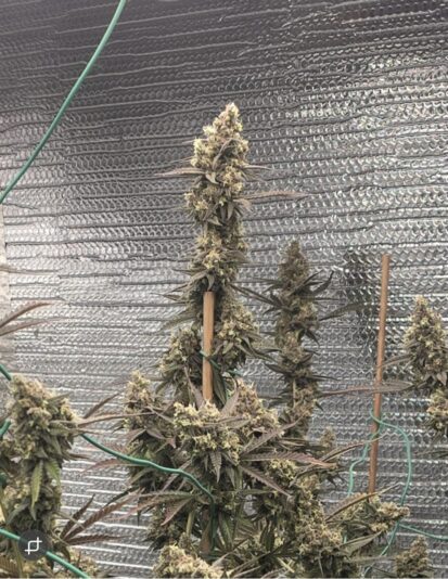 eac70a28-39d3-4d60-af47-93d83a95a32c