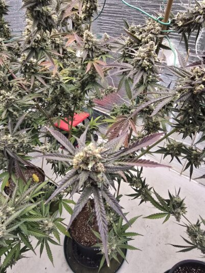 58b70ecc-9874-4140-b248-8088f3a0ff9c