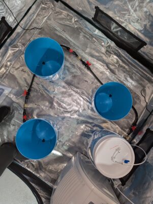 PXL_20250109_152031100