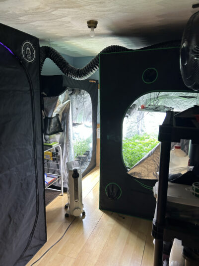 7B547D29-C6EE-4CD7-A154-4199CD5DF7AB