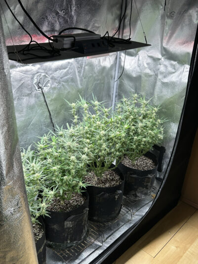 C901A26E-FD8E-4184-BD4F-D6C279B2FAB0